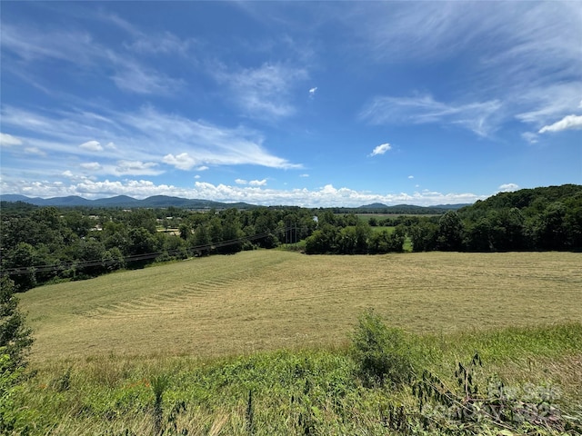 598 Miles View Dr, Mills River, NC 28759 - photo 7