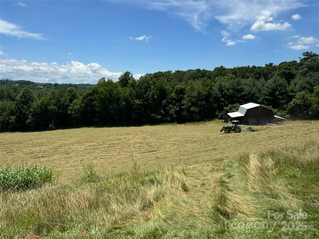 598 Miles View Dr, Mills River, NC 28759 - photo 8