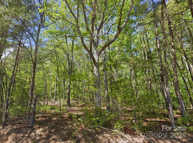 0 Pleasant Grove Rd, Rutherfordton, NC 28139