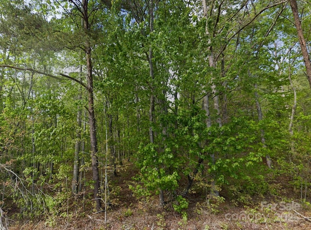 0 Pleasant Grove Rd, Rutherfordton, NC 28139