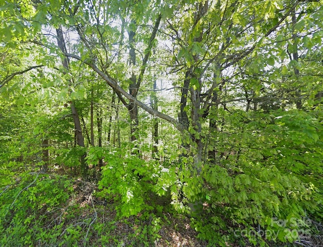 0 Pleasant Grove Rd, Rutherfordton, NC 28139