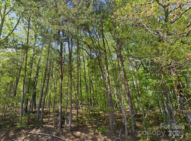 0 Pleasant Grove Rd, Rutherfordton, NC 28139