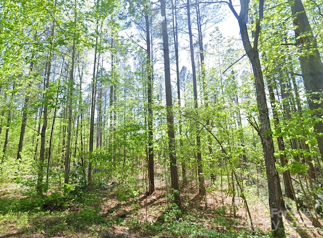 0 Pleasant Grove Rd, Rutherfordton, NC 28139