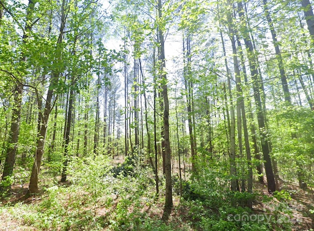 0 Pleasant Grove Rd, Rutherfordton, NC 28139