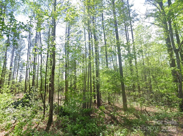 0 Pleasant Grove Rd, Rutherfordton, NC 28139
