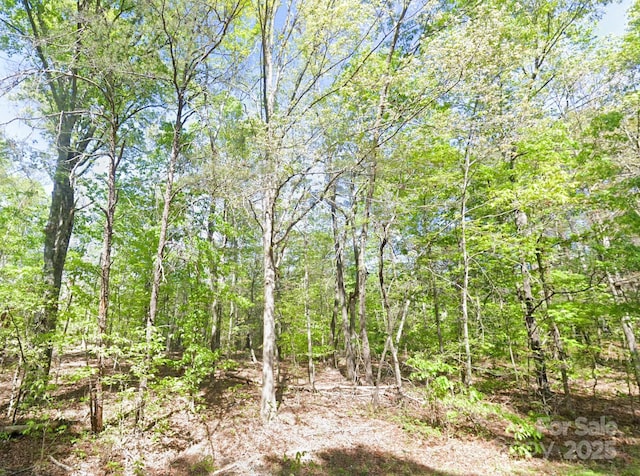 0 Pleasant Grove Rd, Rutherfordton, NC 28139