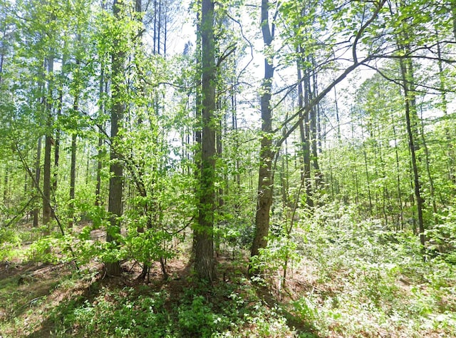 0 Pleasant Grove Rd, Rutherfordton, NC 28139