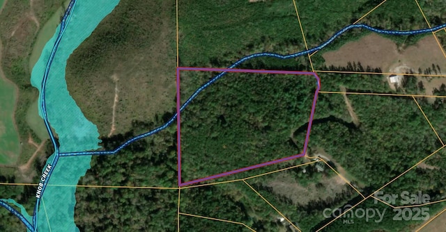 0 Pleasant Grove Rd, Rutherfordton, NC 28139
