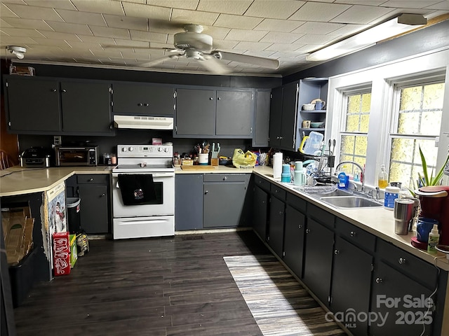 1041 Tomlinson Loop, Connelly Springs, NC 28612 - kitchen with white range with electric cooktop, under cabinet range hood, ceiling fan, dark wood-style flooring, and open shelves