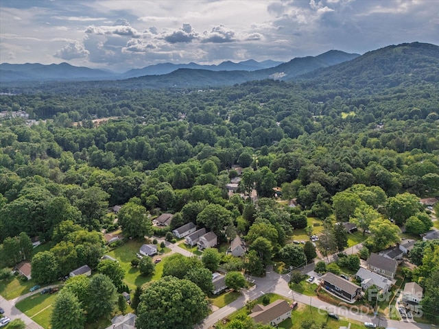 74 Hi Alta Ave, Asheville, NC 28806 - photo 33