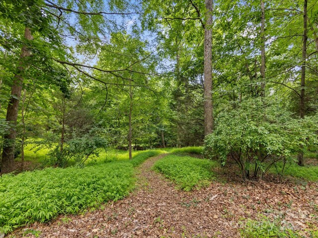 1119 Holleybank Dr, Matthews, NC 28105 - photo 43