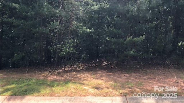 4012 Beechwood Spring Ln, Belmont, NC 28012