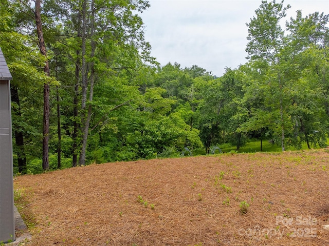 240 Bear Pen Cv, Franklin, NC 28734 - photo 24