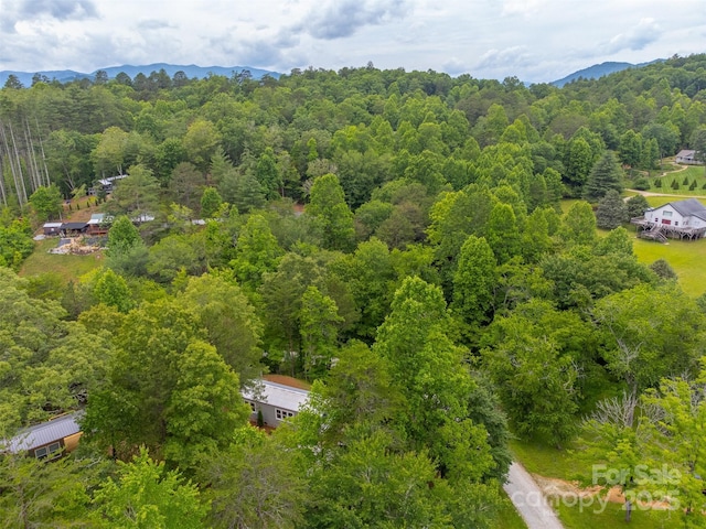 240 Bear Pen Cv, Franklin, NC 28734 - photo 32
