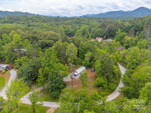 240 Bear Pen Cv, Franklin, NC 28734 - photo 33
