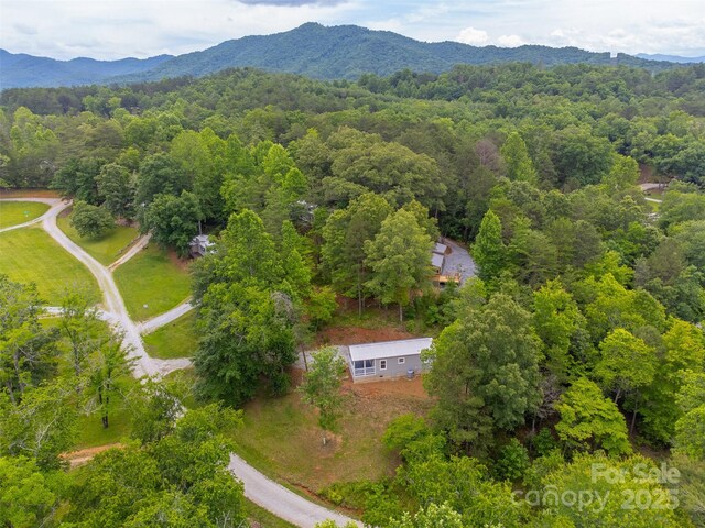 240 Bear Pen Cv, Franklin, NC 28734 - photo 34