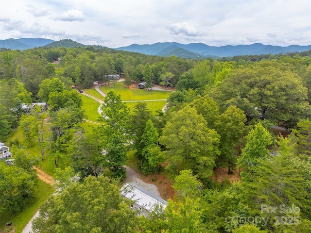 240 Bear Pen Cv, Franklin, NC 28734 - photo 35