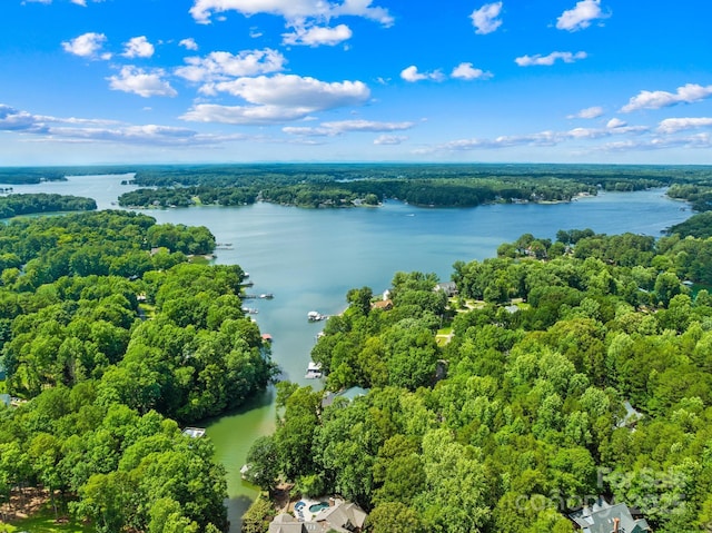 698 Normandy Rd, Mooresville, NC 28117 - drone / aerial view of a nearby body of water