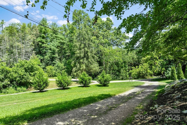 1215 Upper Brush Creek Rd, Fairview, NC 28730 - photo 33