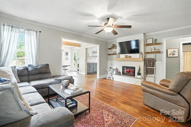 602 Unity St, Fort Mill, SC 29715 - living area with ceiling fan, ornamental molding, wood finished floors, healthy amount of natural light, and a textured ceiling