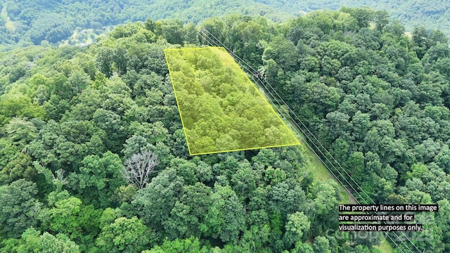 00 Liner Cove Rd Unit 1, Waynesville, NC 28786 - photo 1