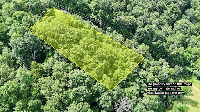 00 Liner Cove Rd Unit 1, Waynesville, NC 28786 - photo 2
