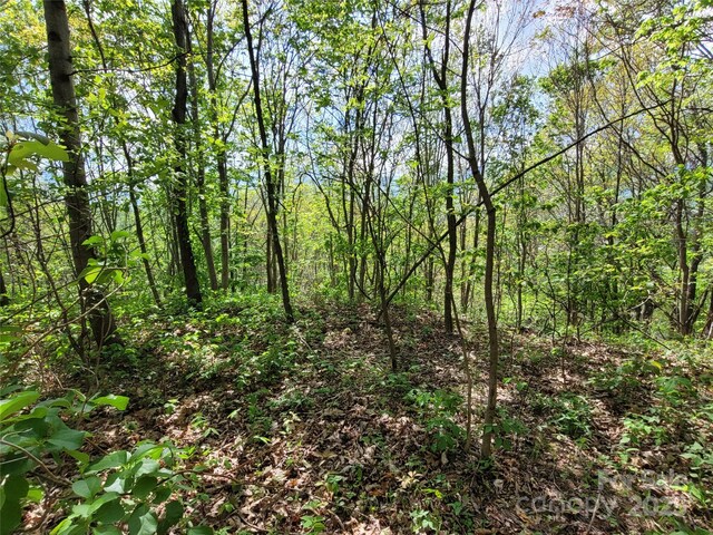 00 Liner Cove Rd Unit 1, Waynesville, NC 28786 - photo 5