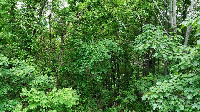 00 Liner Cove Rd Unit 1, Waynesville, NC 28786 - photo 6