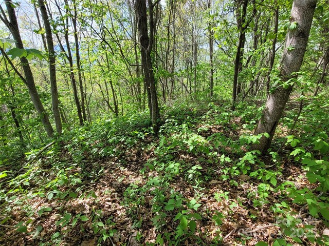 00 Liner Cove Rd Unit 1, Waynesville, NC 28786 - photo 7