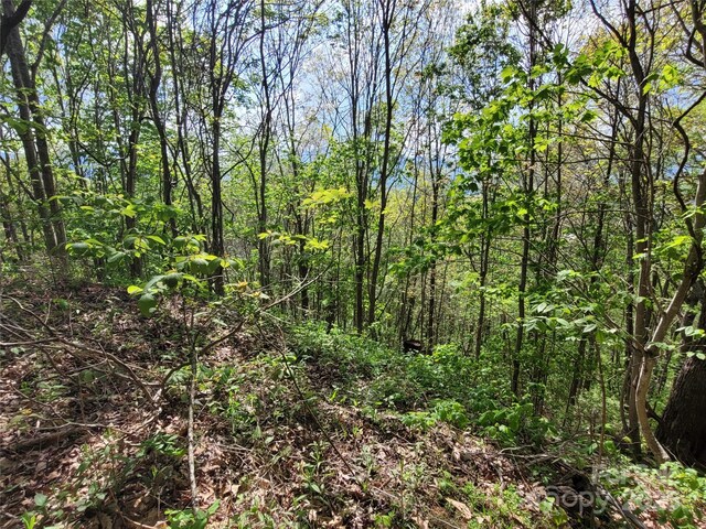 00 Liner Cove Rd Unit 1, Waynesville, NC 28786 - photo 8