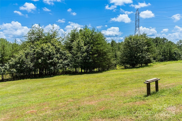 109 Avery Dr, Forest City, NC 28043 - photo 19