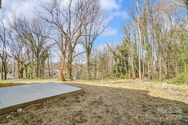 709 Catawba St, Lincolnton, NC 28092 - photo 20