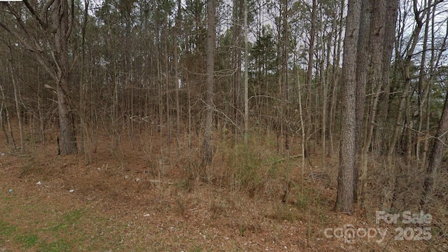 00 Old Mill Rd, Richburg, SC 29729 - photo 4