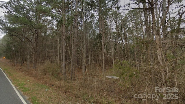 00 Old Mill Rd, Richburg, SC 29729 - photo 5