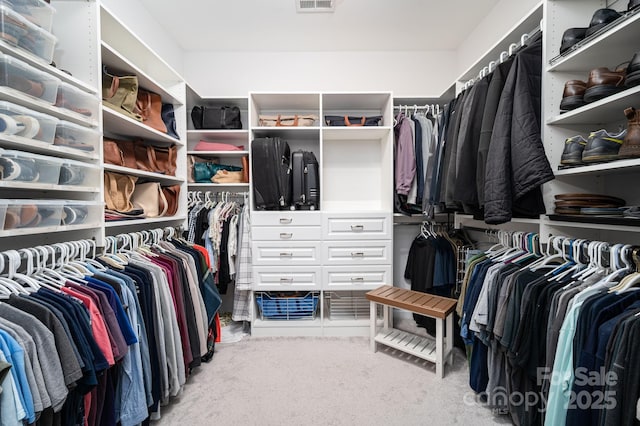 658 Gardenbrook Trl, Belmont, NC 28012 - walk in closet featuring carpet