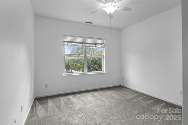 9704 Grier Springs Ln, Charlotte, NC 28213 - photo 18