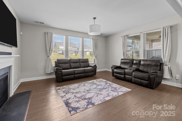 241 Boxelder Rd, Clover, SC 29710 - living area with hardwood / wood-style flooring, healthy amount of natural light, and a glass covered fireplace