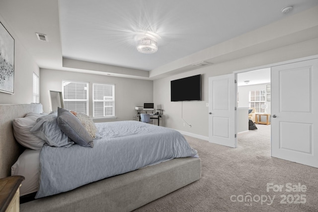 241 Boxelder Rd, Clover, SC 29710 - carpeted bedroom featuring multiple windows and a tray ceiling