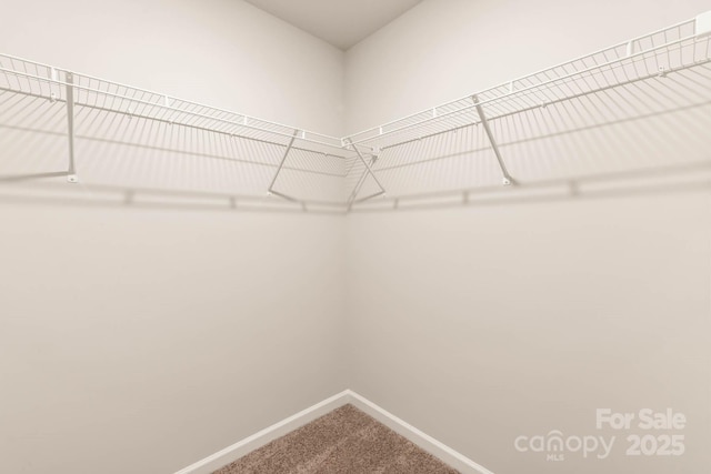 1048 Russell Dr, Winston Salem, NC 27127 - walk in closet featuring carpet flooring