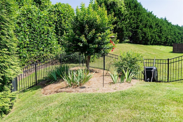1156 Mckee Farm Ln, Belmont, NC 28012 - view of yard