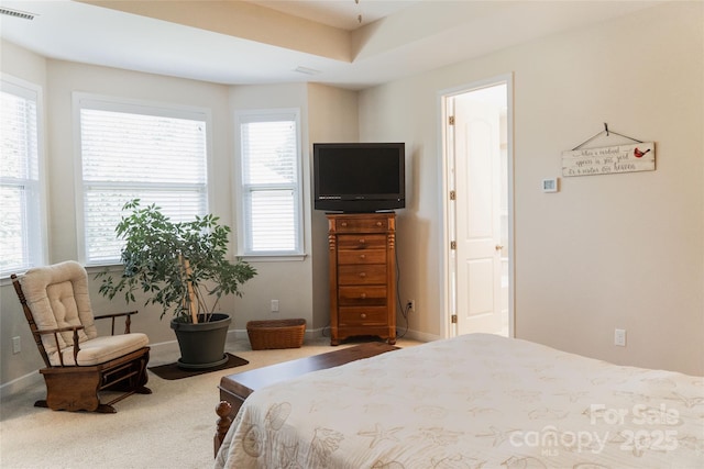 1156 Mckee Farm Ln, Belmont, NC 28012 - bedroom with carpet