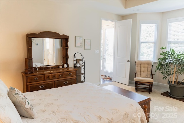 1156 Mckee Farm Ln, Belmont, NC 28012 - carpeted bedroom featuring multiple windows