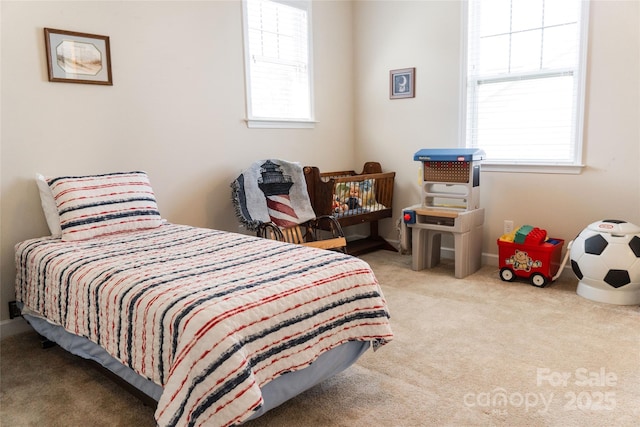 1156 Mckee Farm Ln, Belmont, NC 28012 - bedroom with carpet floors