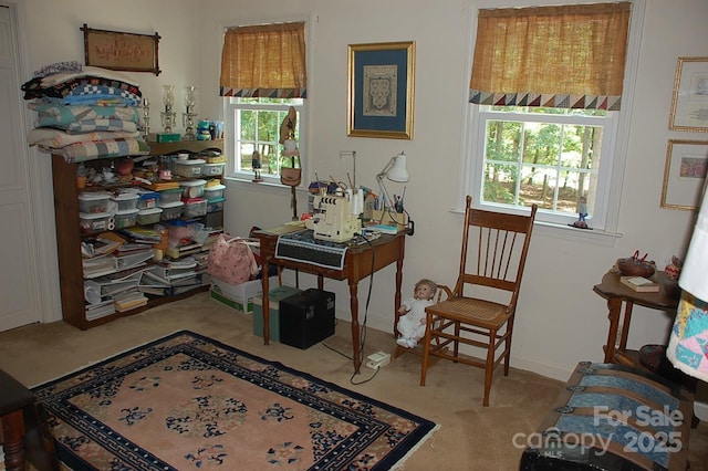 1325 Lee Lynn Dr Unit 7 Part Of 6, Albemarle, NC 28001 - photo 31
