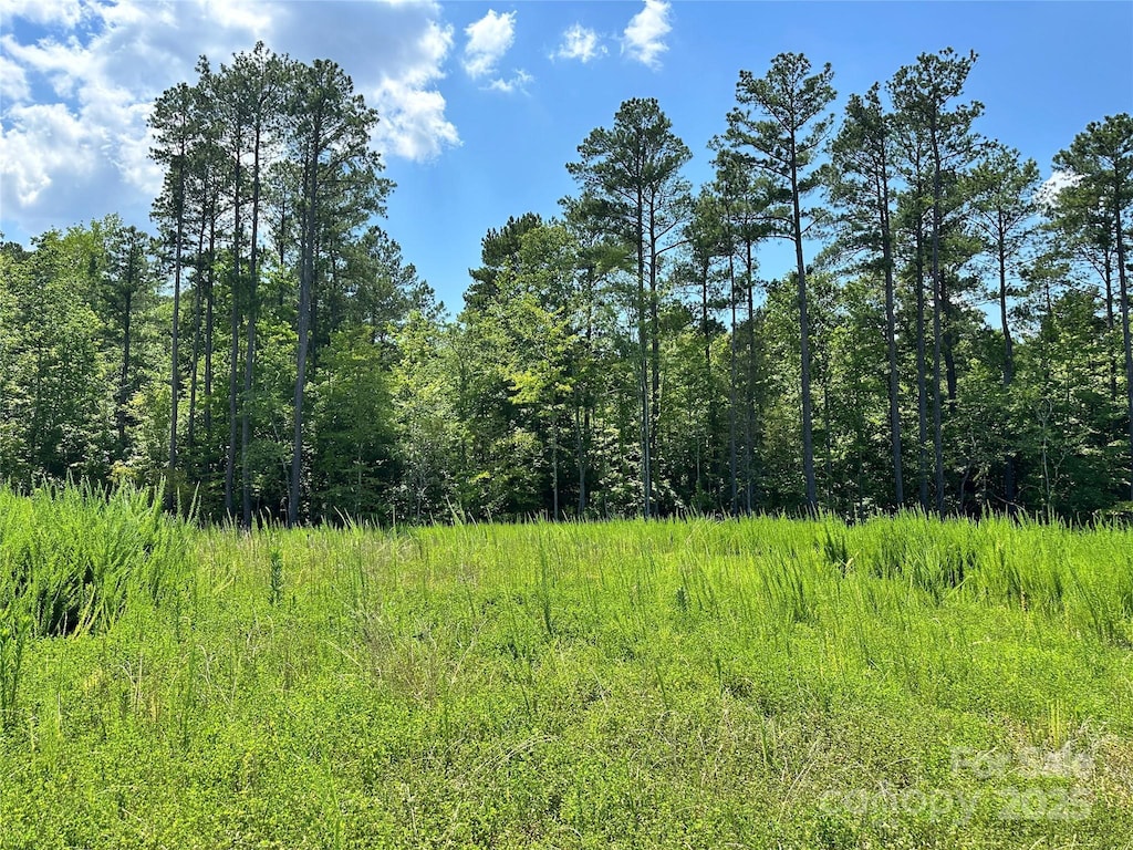 1418 Samuel Spencer Pkwy, Davidson, NC 28036 - view of nature
