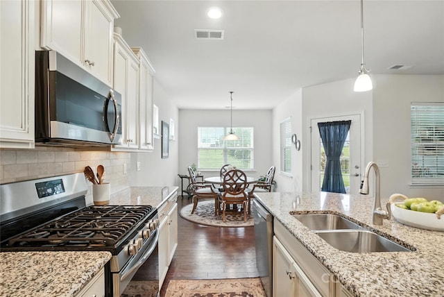 10120 Berkeley Castle Dr, Charlotte, NC 28273 - kitchen with appliances with stainless steel finishes, plenty of natural light, dark wood-type flooring, and white cabinetry