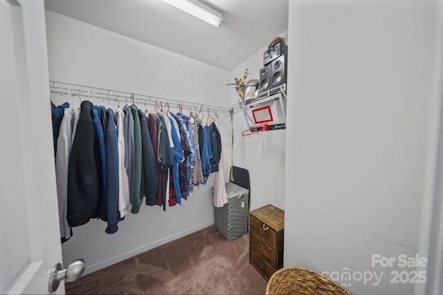 137 Branchview Dr, Mooresville, NC 28115 - walk in closet featuring carpet flooring