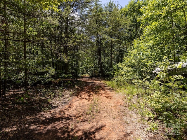 3881 Wood Duck Ln, Denver, NC 28037