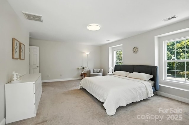 15508 Normans Landing Dr, Charlotte, NC 28273 - photo 24