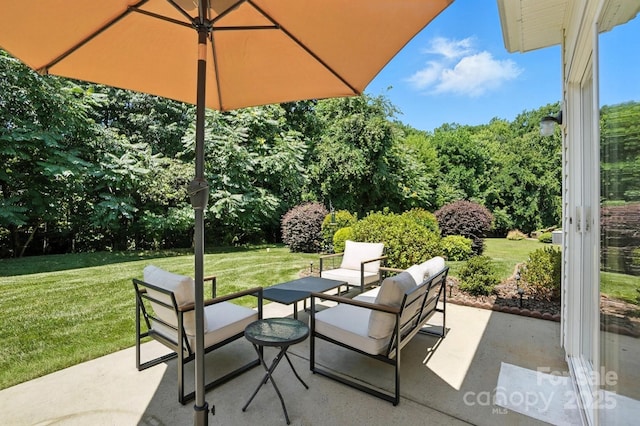15508 Normans Landing Dr, Charlotte, NC 28273 - photo 40
